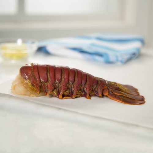 Lobster - Image 2
