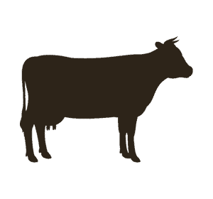 beef 1 1