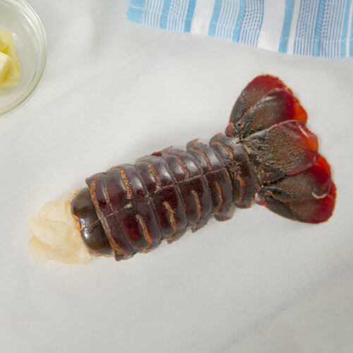 Lobster