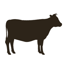 waygu 1